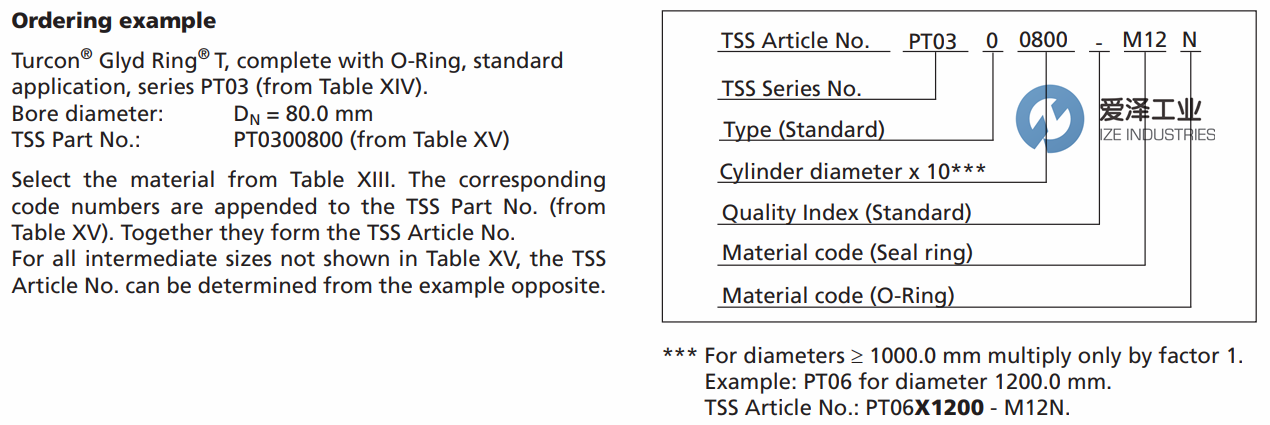 TRELLEBORG（B+S）格莱圈PT系列 爱泽工业ize-industries (1).png