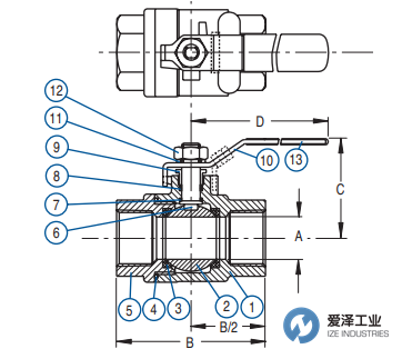 DURAVALVE球阀D250 20500C 爱泽工业 izeindustries (2).png