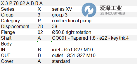 VIVOLO單向泵X3P7802ABBA 愛澤工業(yè) ize-industries (3).png
