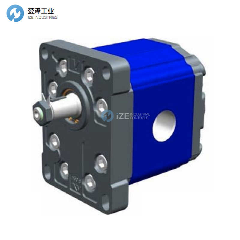 VIVOLO泵X3P系列 愛澤工業(yè)ize-industries.jpg