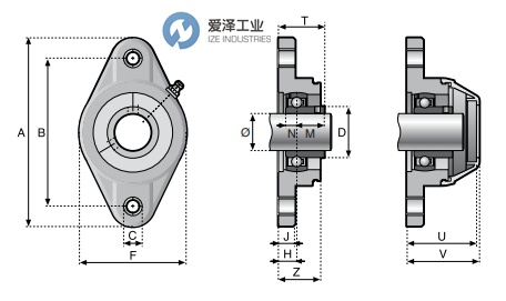 SYSTEM PLAST轴承UCFH205-25M-SS 爱泽工业 ize-industries (3).png