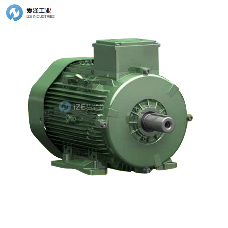 TEE電機(jī)Q3H系列 愛(ài)澤工業(yè)ize-industries.jpg