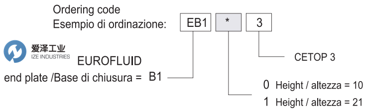 Eurofluid端板EB103 爱泽工业 ize-industries (2).png