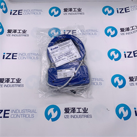 SELET传感器B01AN100P0爱泽工业izeindustries (1).jpg