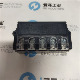 sew继电器BG1.5 8253846 爱泽工业 izeindustries (2).jpg