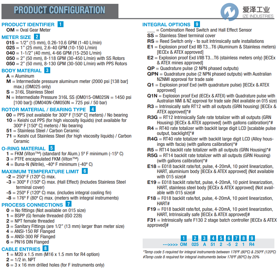 FLOMEC流量计OM025A001-816F19 爱泽工业 ize-industries (2).png