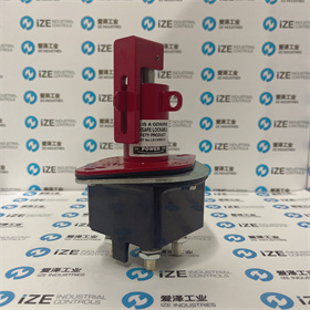 Lock safe隔离开关LS13009-01  爱泽工业 izeindustries (1).JPG