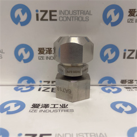 SEALWELD阀D-FW-LL2-SS 爱泽工业 izeindustries (4).JPG