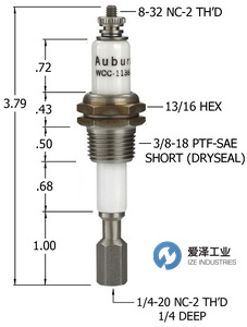 AUBURN电极液位计WCC-1138LT 爱泽工业 izeindustries.jpg