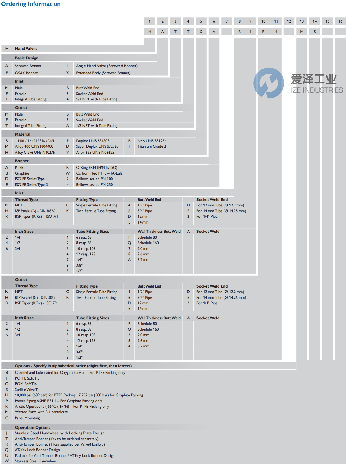 AS-SCHNEIDER阀HATTS4-T7T7-0001 爱泽工业 ize-industries (2).png