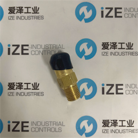 REGO阀3125L 爱泽工业 izeindustries (3).JPG