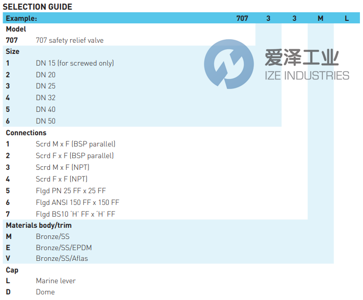 BAILEY安全阀70752EL 爱泽工业 ize-industries (2).png