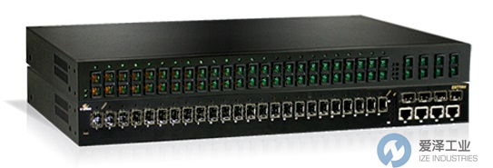 EtherWAN以太网交换机 爱泽工业 izeindustries (3).jpg