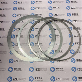 FISHER维修包RGASKETX392 爱泽工业 izeindustries (8).jpg