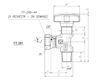 TOGNELLA阀FT-291 14G 爱泽工业 izeindustries(1).png