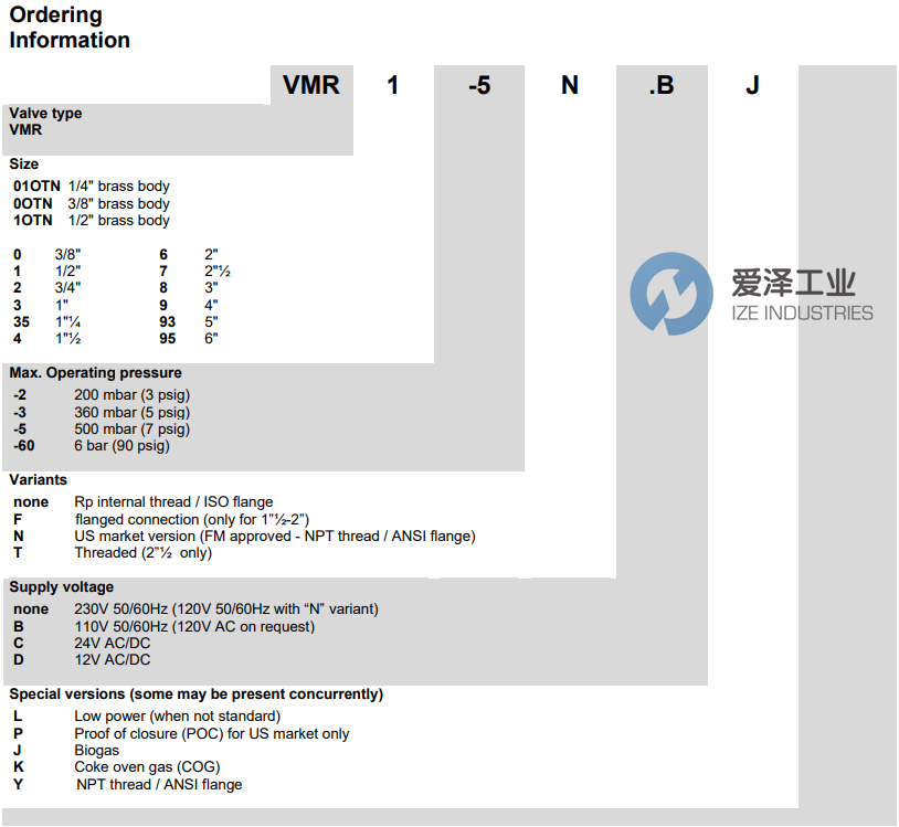 ELEKTROGAS电磁阀VMR系列 爱泽工业 ize-industries (2).png