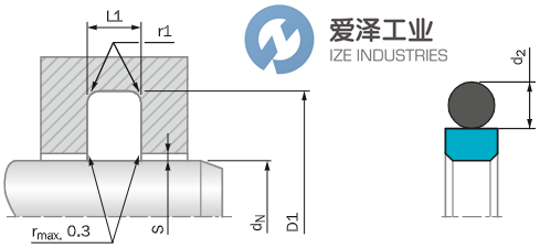 TRELLEBORG格莱圈RG4300320-T46N爱泽工业 izeindustries.png TRELLEBORG格莱圈RG4300320-T46N爱泽工业 izeindustries.png